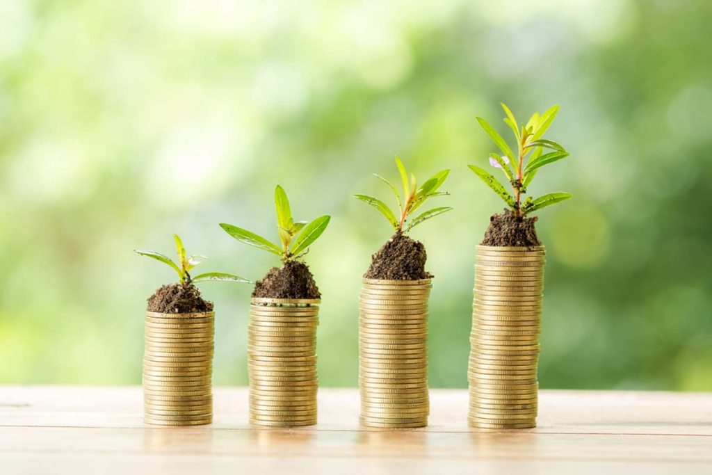imagen de monedas con plantas