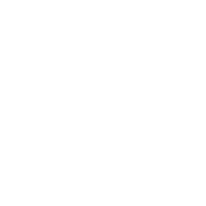icono del mundo