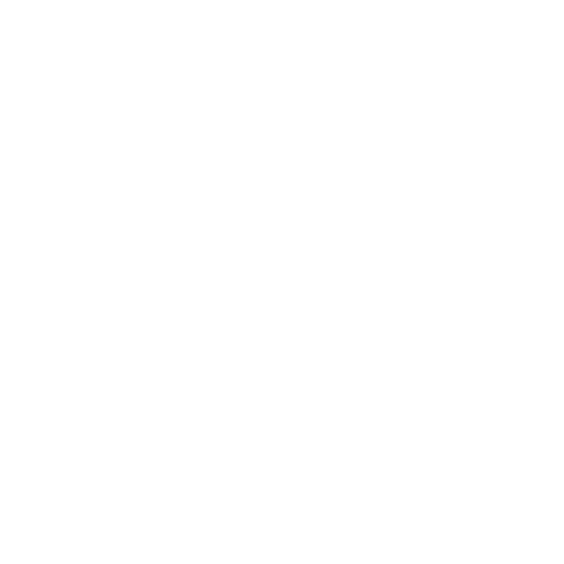 icono del mundo
